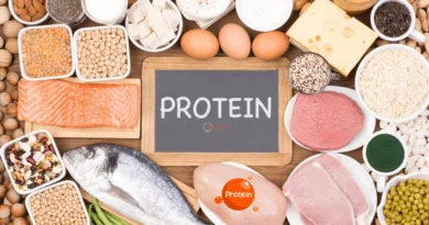 Protein 101: Everything You Need to Know About This Vital Nutrient Article by Let's Redefine Lifestyle